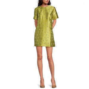Chelsea & Violet Emerson Swoop Neckline Short Sleeve Embroidered Dress
